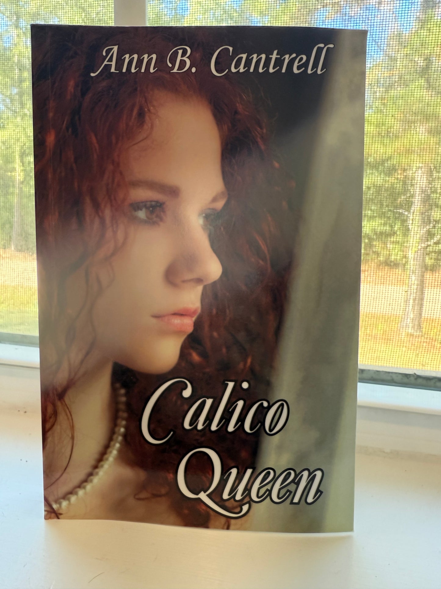Book titled 'Calico Queen' by Ann B. Cantrell on a surface with a blurred background