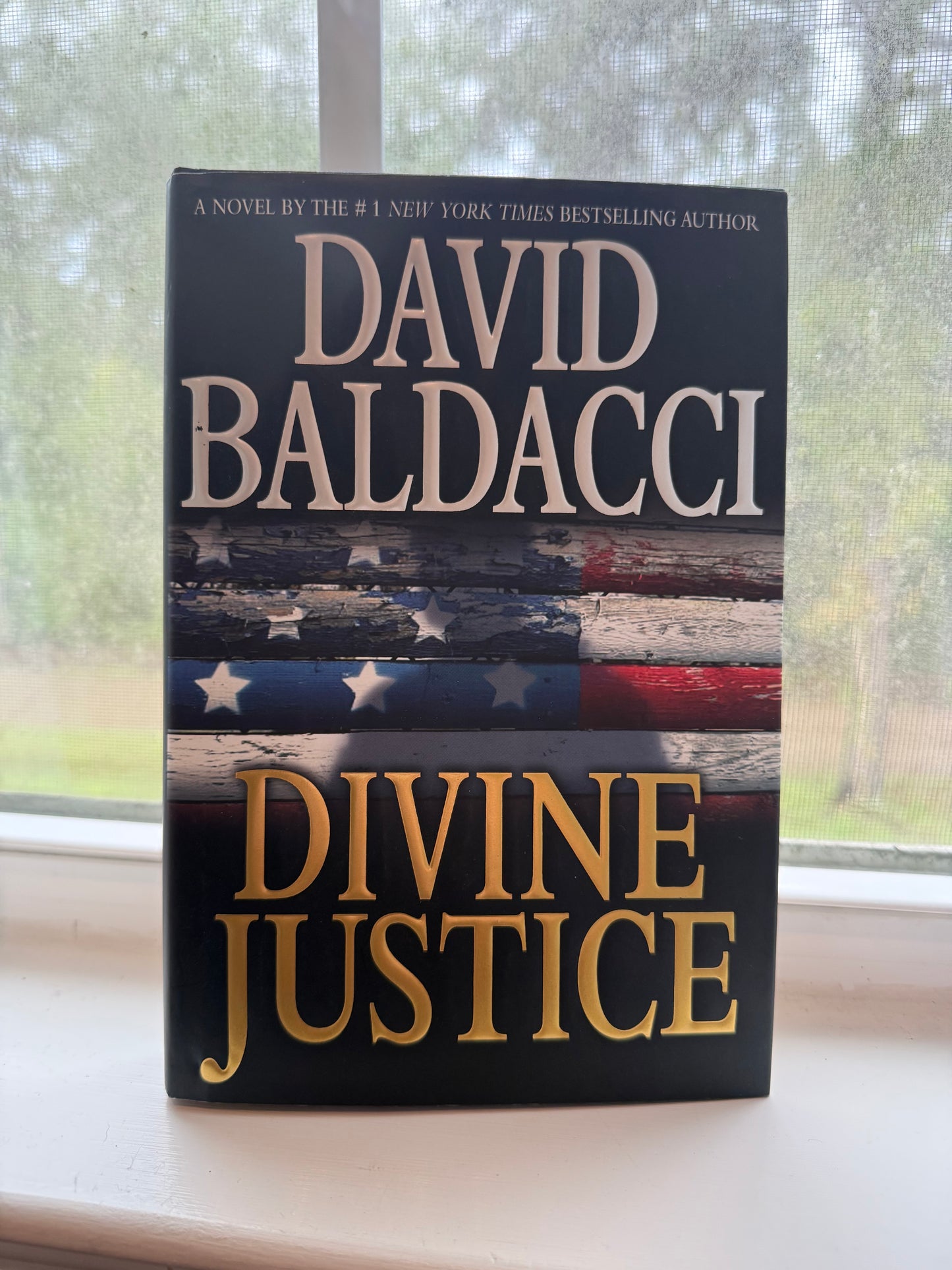 Book titled 'Divine Justice' by David Baldacci with a flag design on the cover.