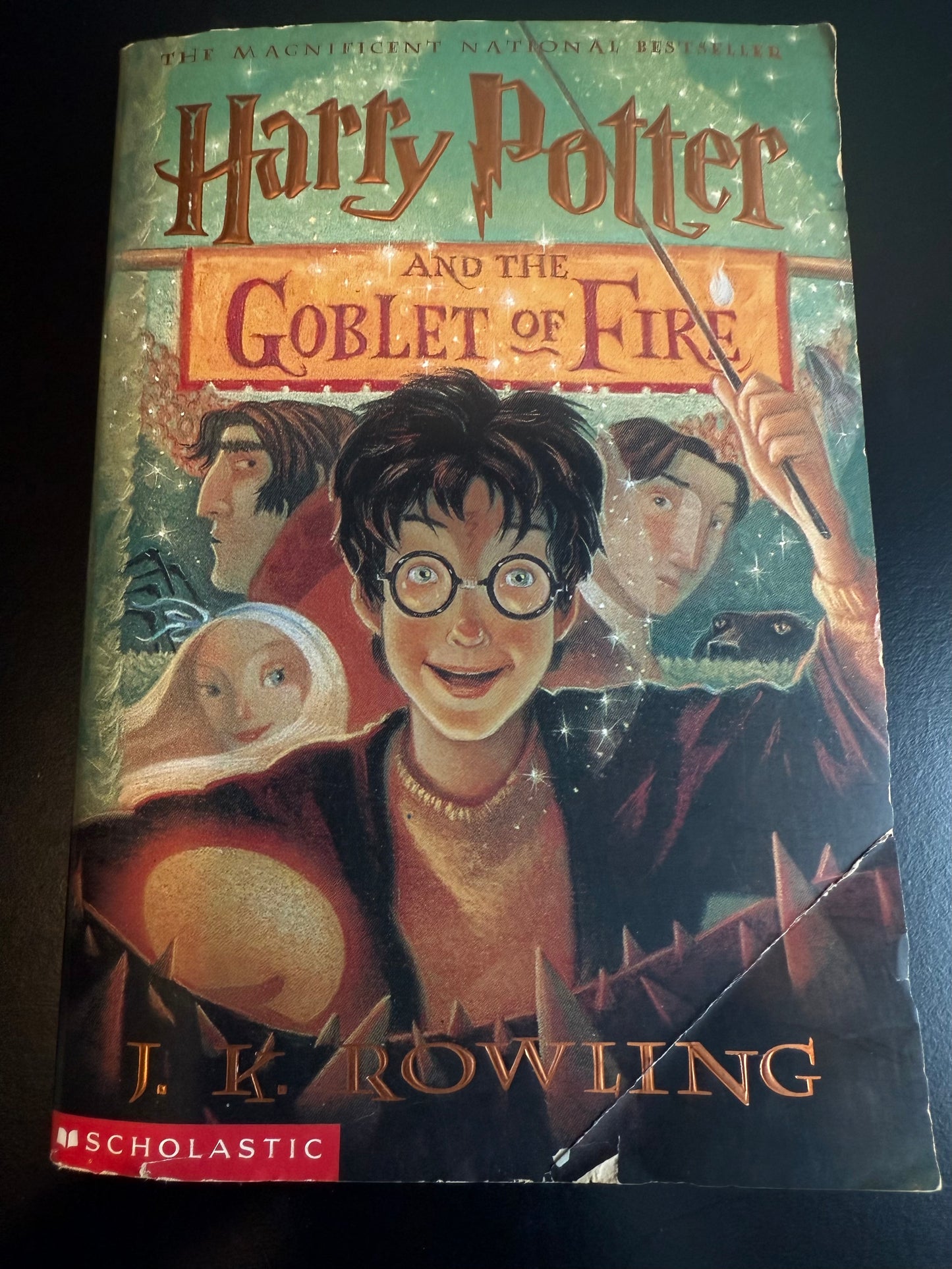 *USED* Harry Potter and The Goblet of Fire by J.K. Rowling