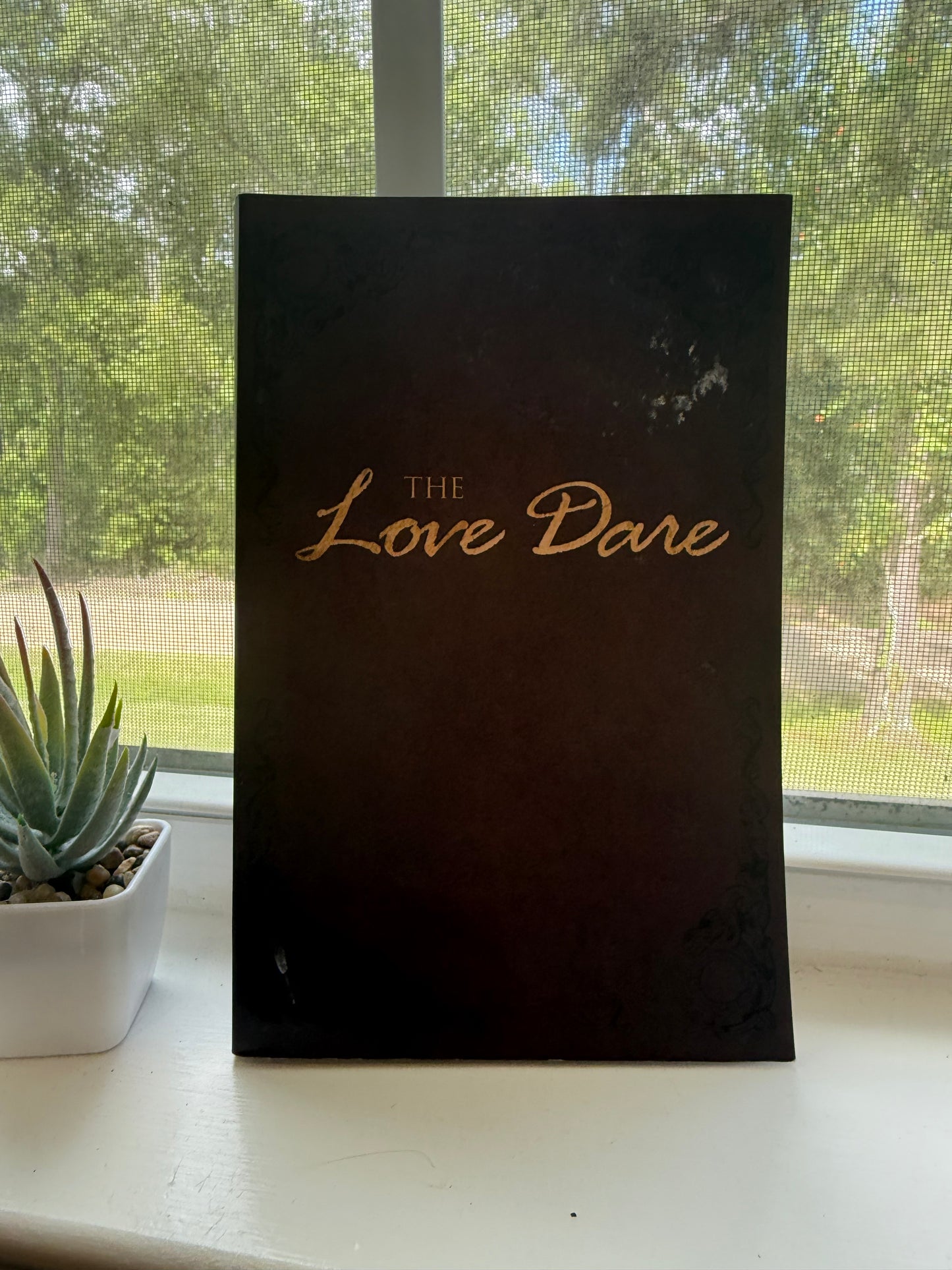 *USED* The Love Dare by Stephen and Alex Kendrick