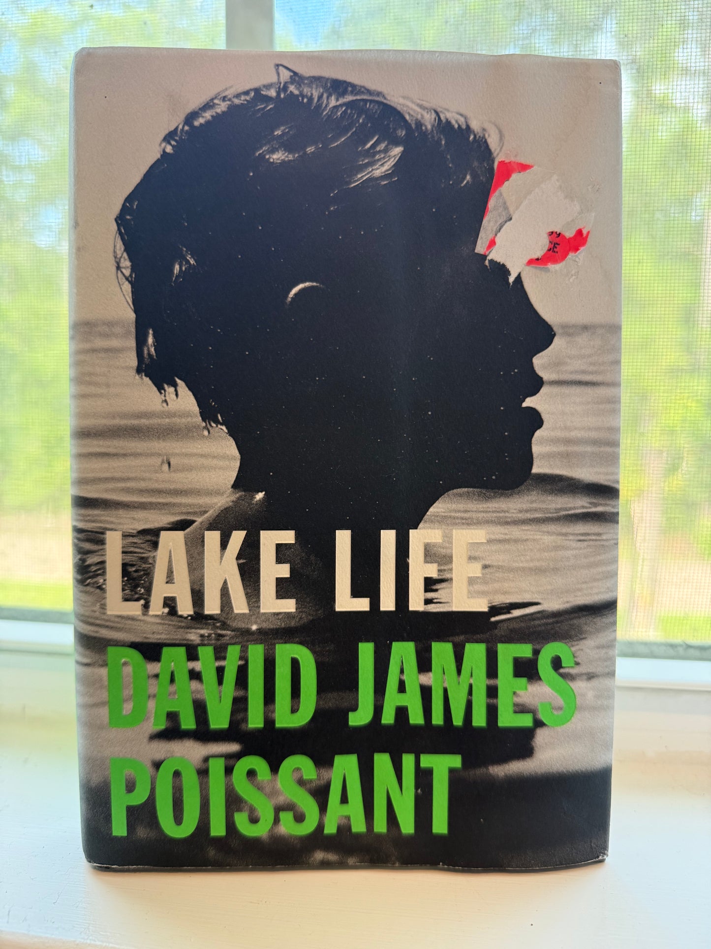 Book titled 'Lake Life' by David James Poissant on a surface with a blurred background