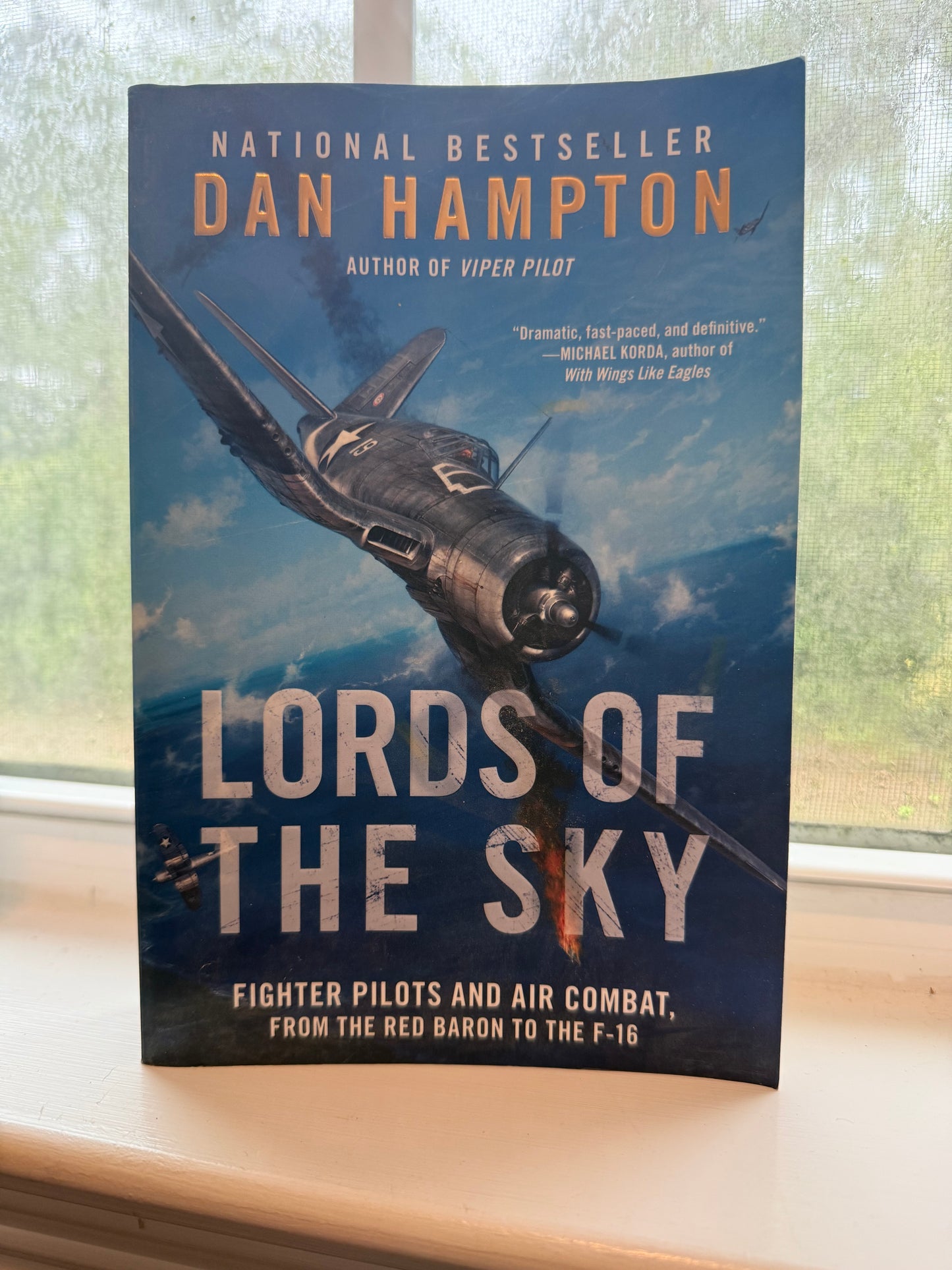 Book titled 'Lords of the Sky' by Dan Hampton with a fighter plane on the cover, placed on a surface.