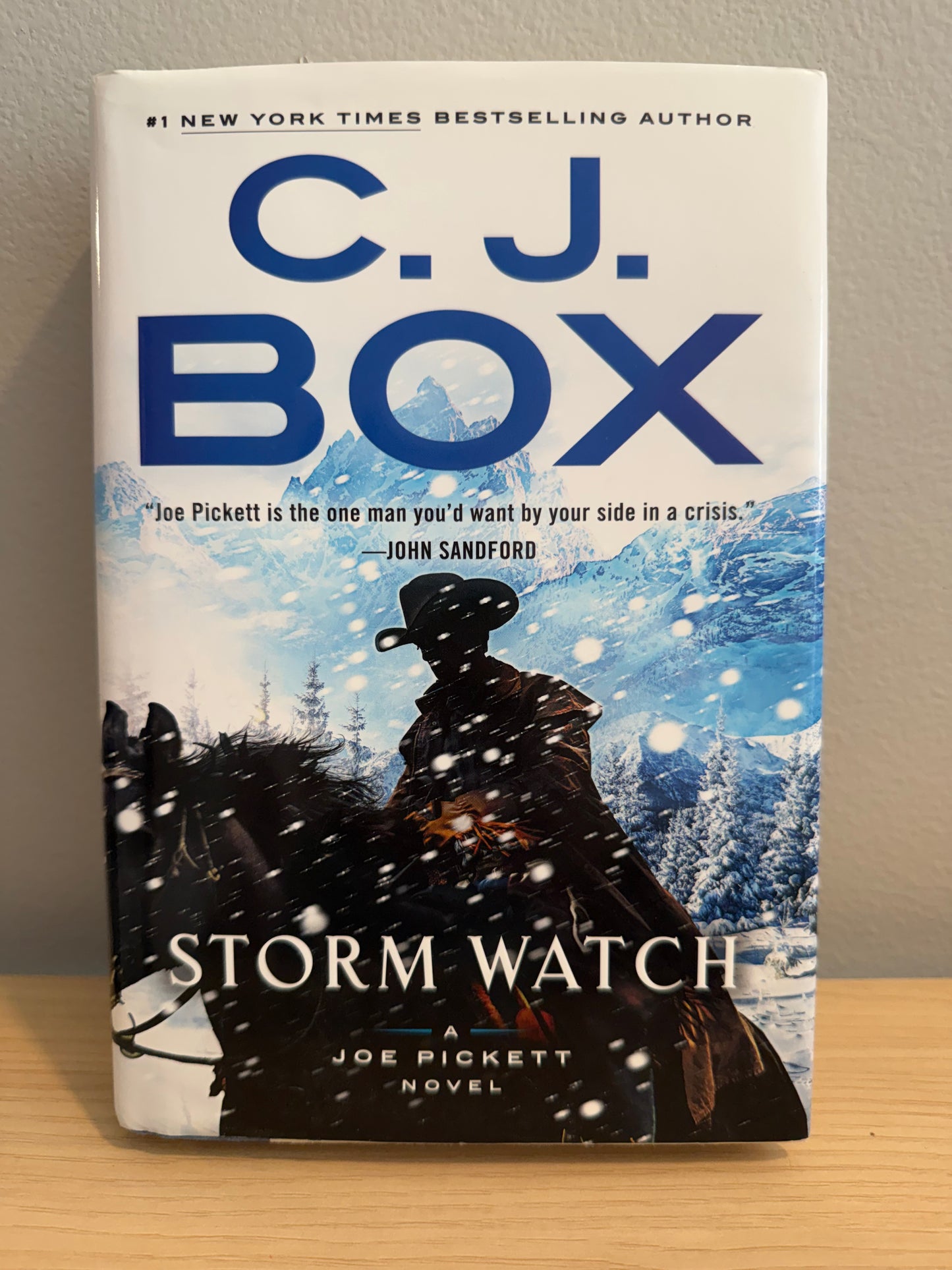 Storm Watch by C.J. Box - Gently Used