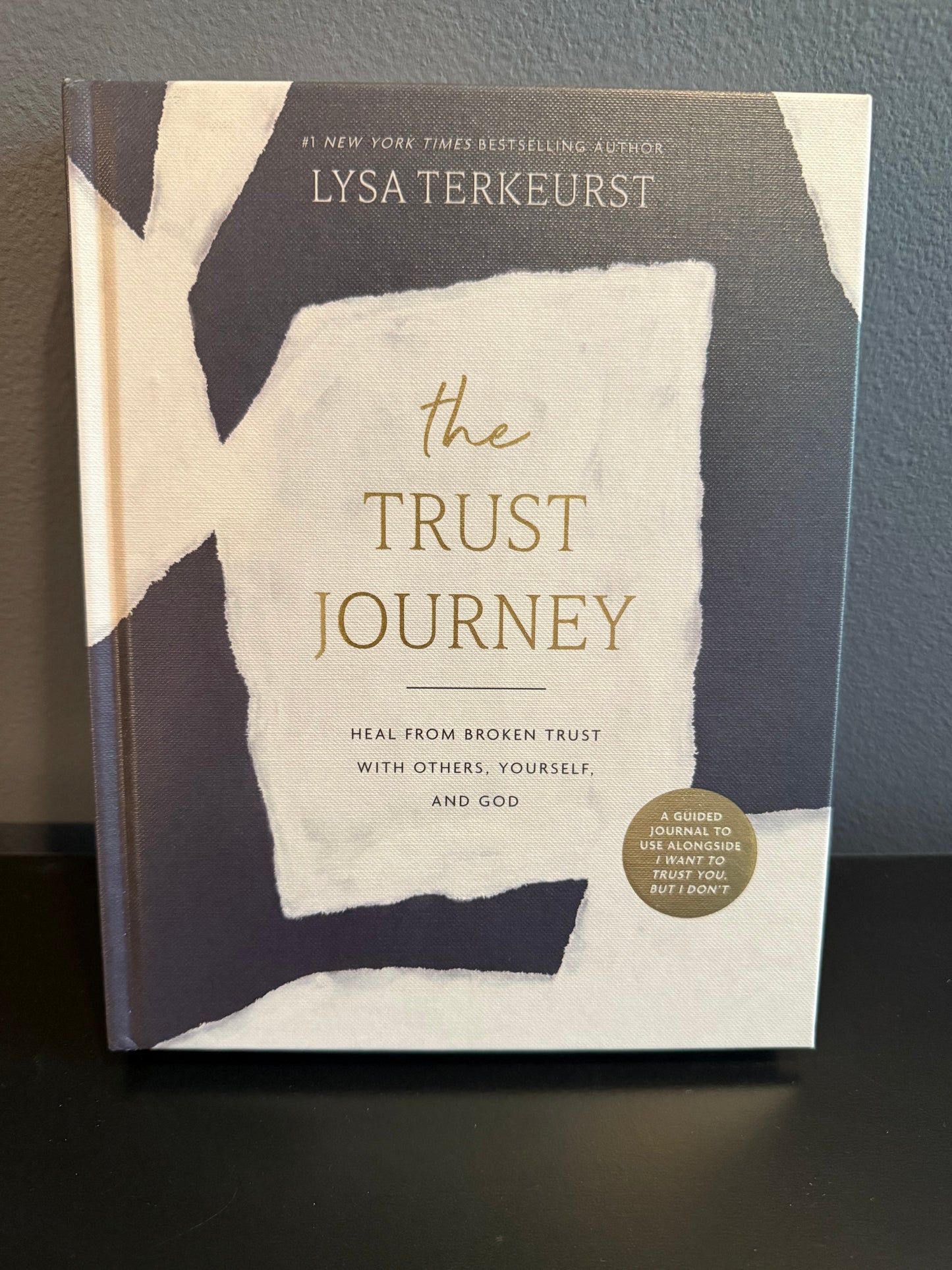 Book titled 'The Trust Journey' by Lysa TerKeurst on a dark surface
