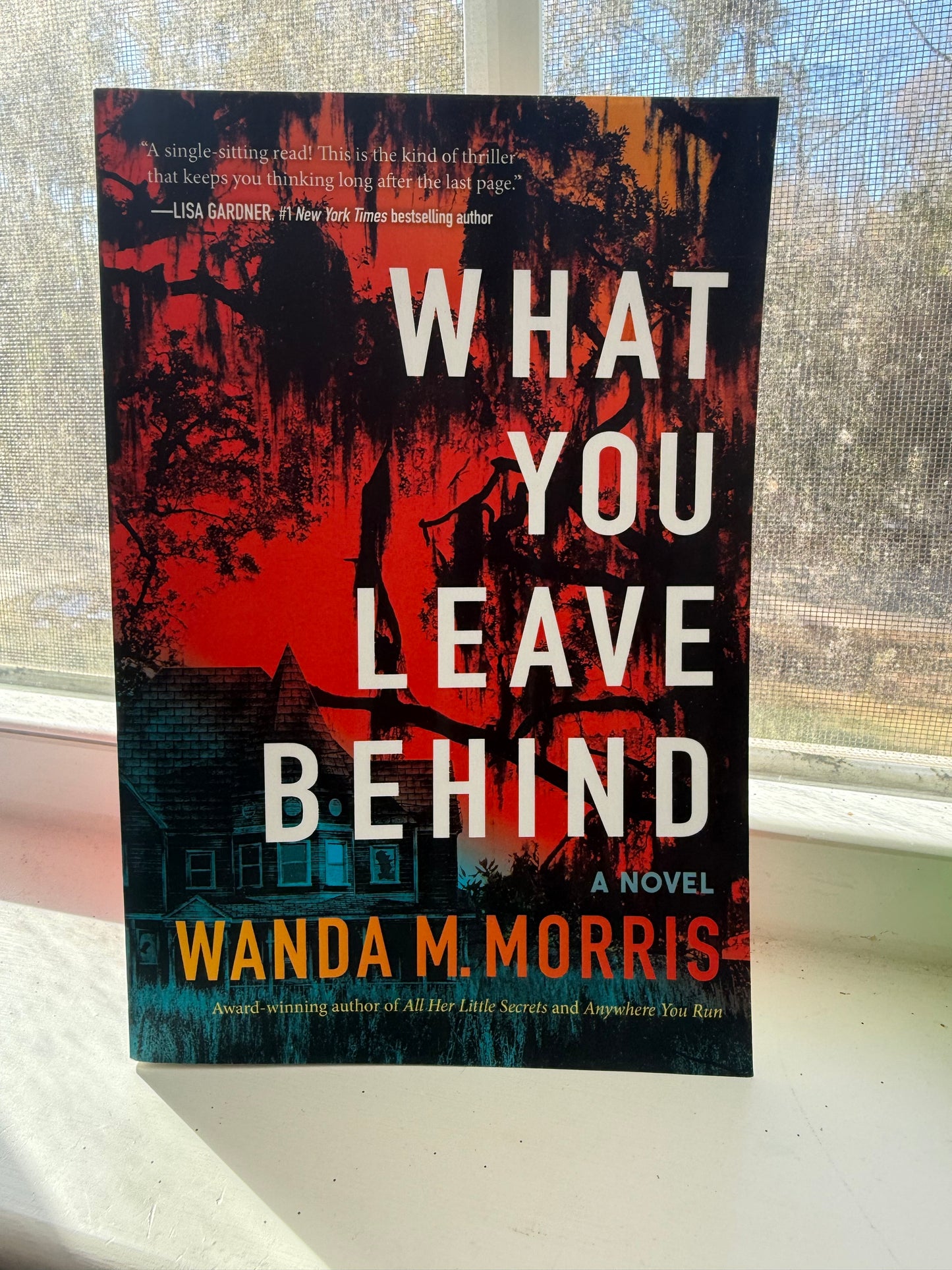 A book cover with a dark and dramatic design, featuring the title 'What You Leave Behind' by Wanda M. Morris.