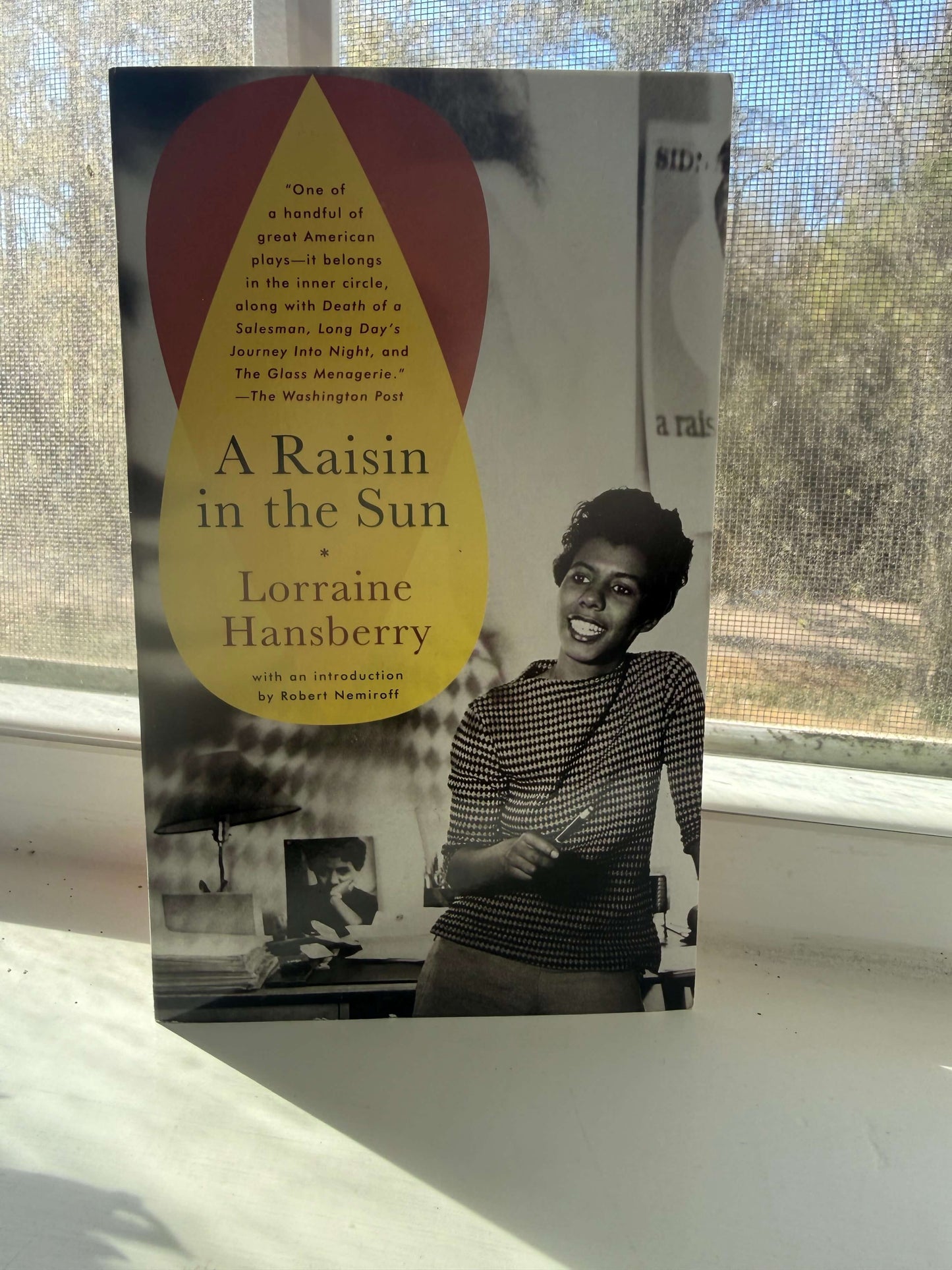 Book titled 'A Raisin in the Sun' by Lorraine Hansberry on a surface with a window in the background.