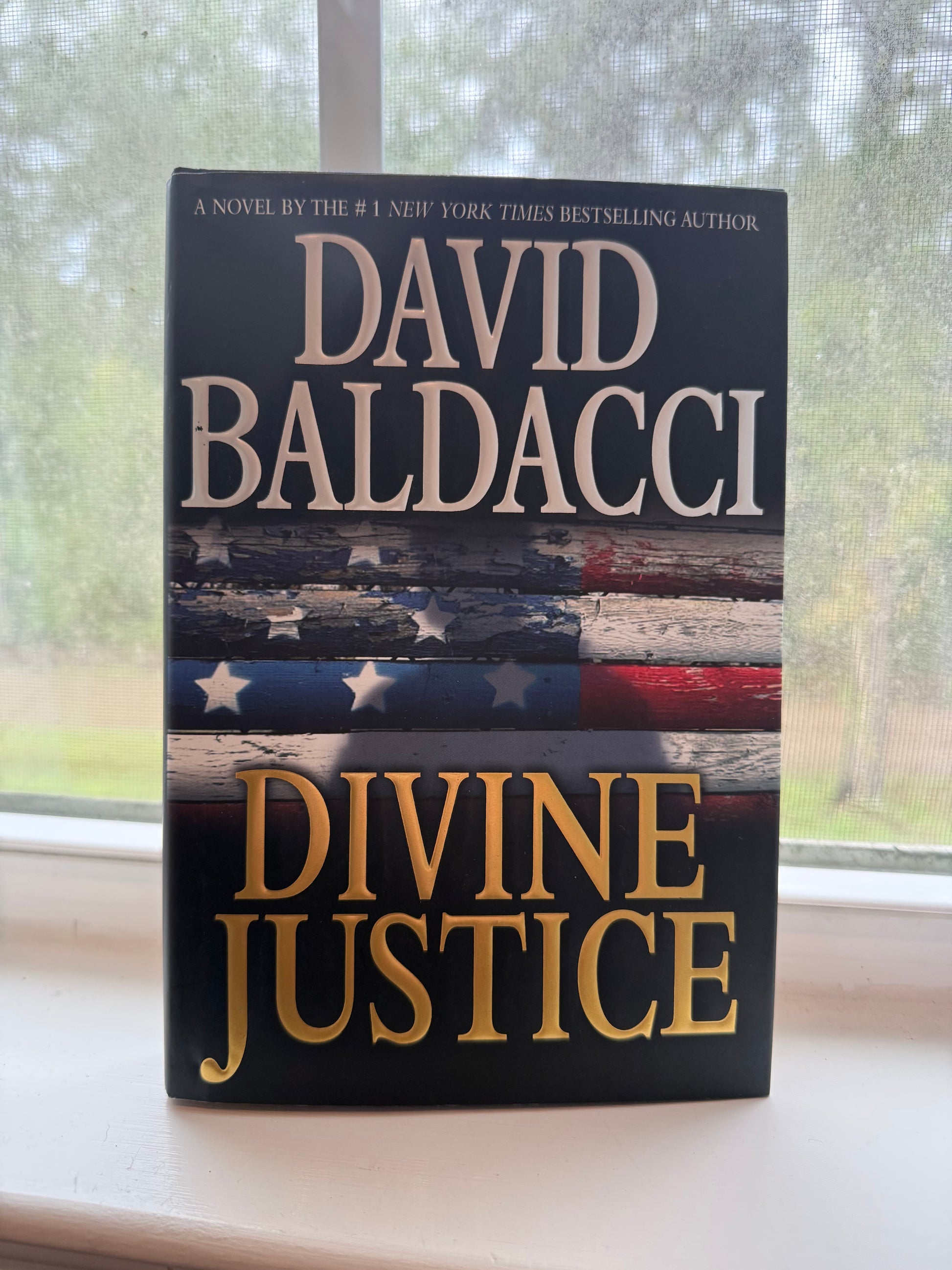 Book titled 'Divine Justice' by David Baldacci with a flag design on the cover.