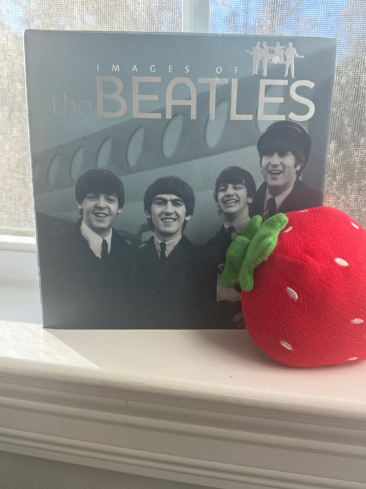 *USED* Images of The Beatles by Tim Hill