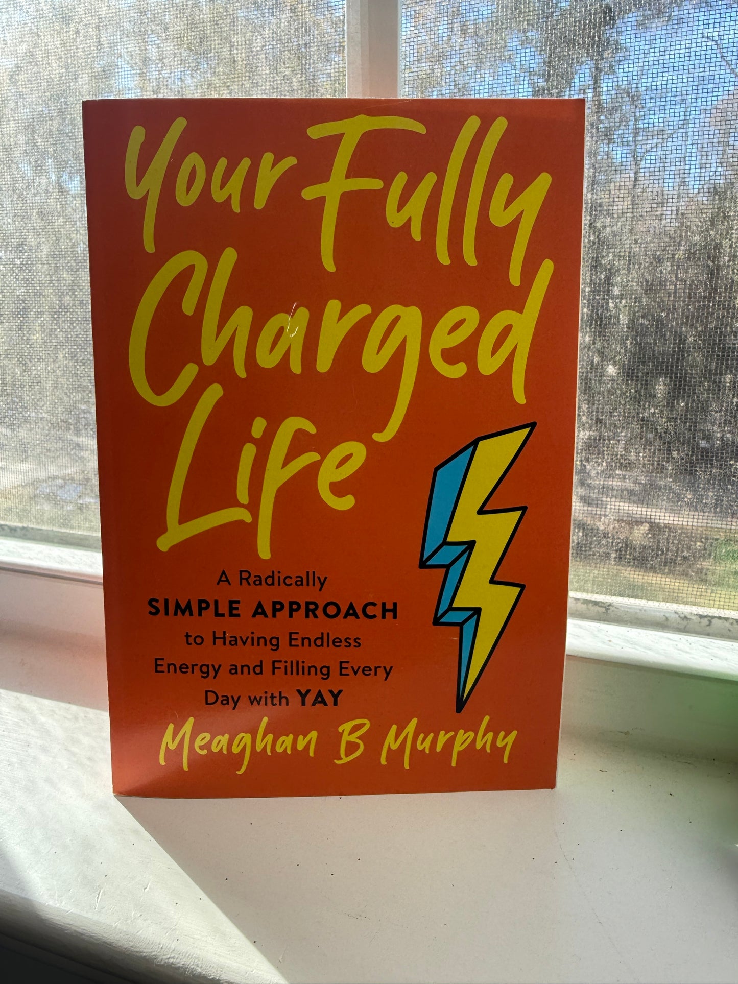 *NEW* Your Fully Charged Life by Meaghan B Murphy