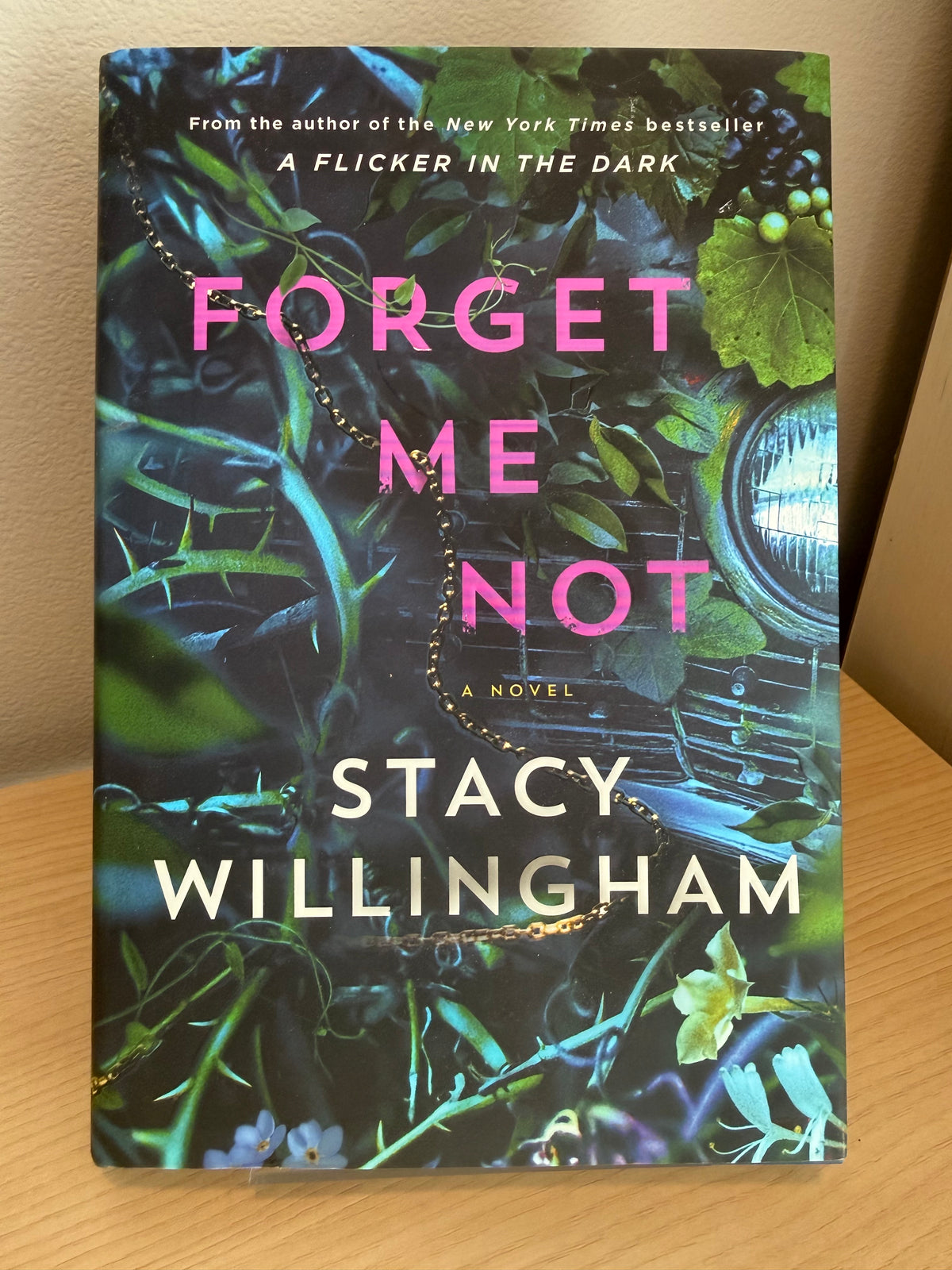 Forget Me Not by Stacy Willingham
