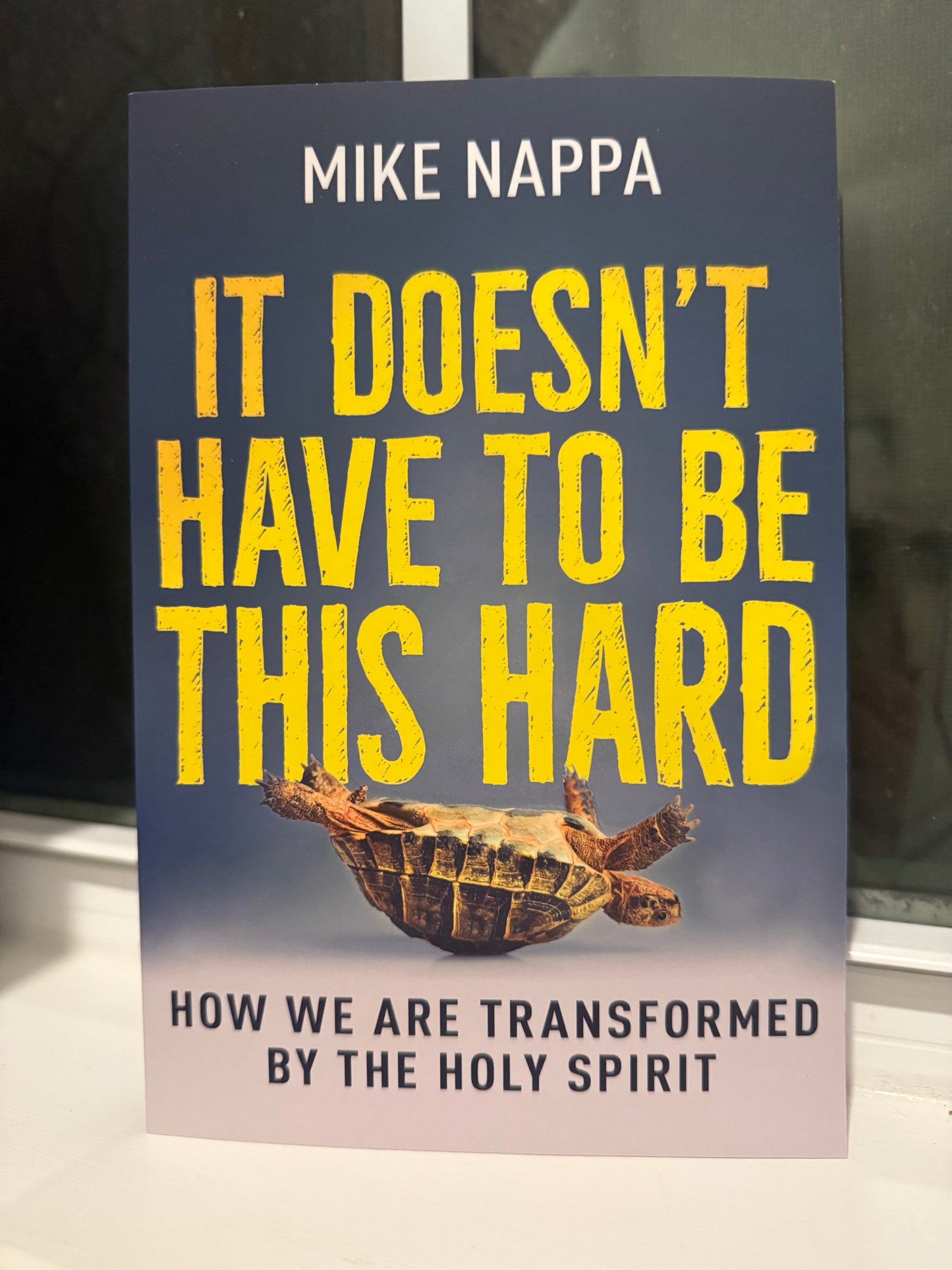 Book cover of 'It Doesn't Have to Be This Hard' by Mike Nappa with a turtle illustration.