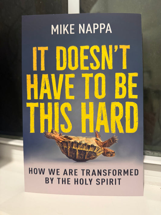 Book cover of 'It Doesn't Have to Be This Hard' by Mike Nappa with a turtle illustration.
