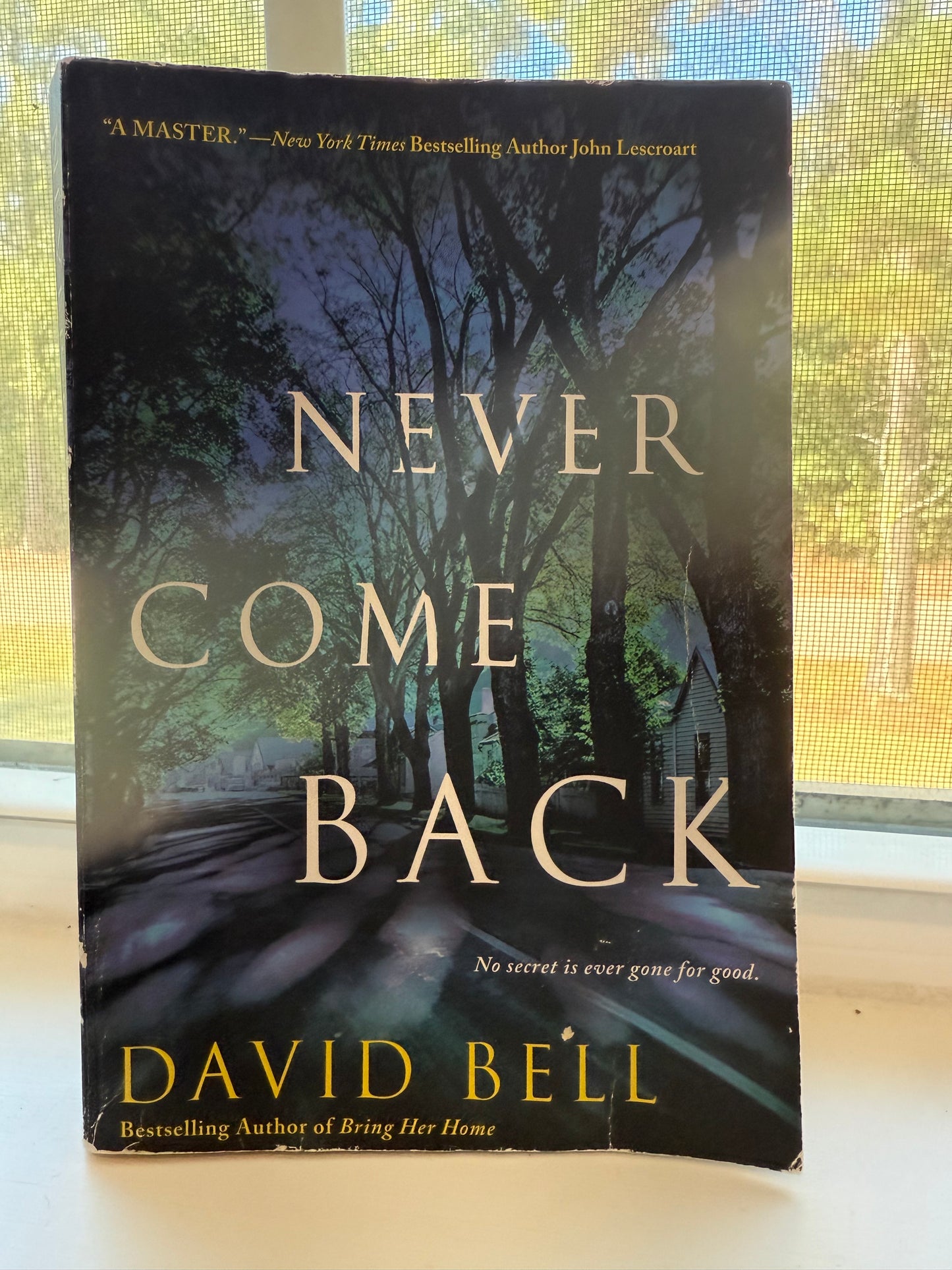 Book titled 'Never Come Back' by David Bell on a window sill with a blurred outdoor background.