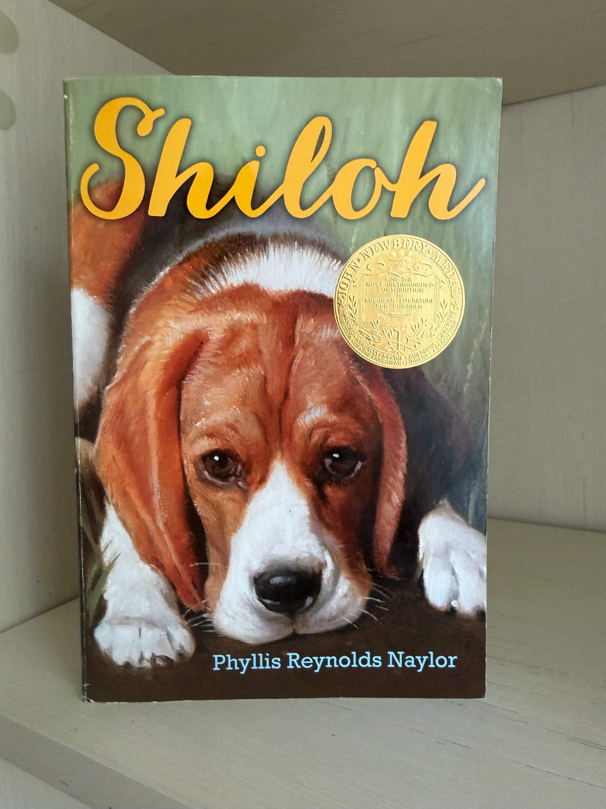 The book 'Shiloh' by Phyllis Reynolds Naylor, featuring a beagle illustration on the cover with a gold award seal, displayed on a light-colored wooden shelf.