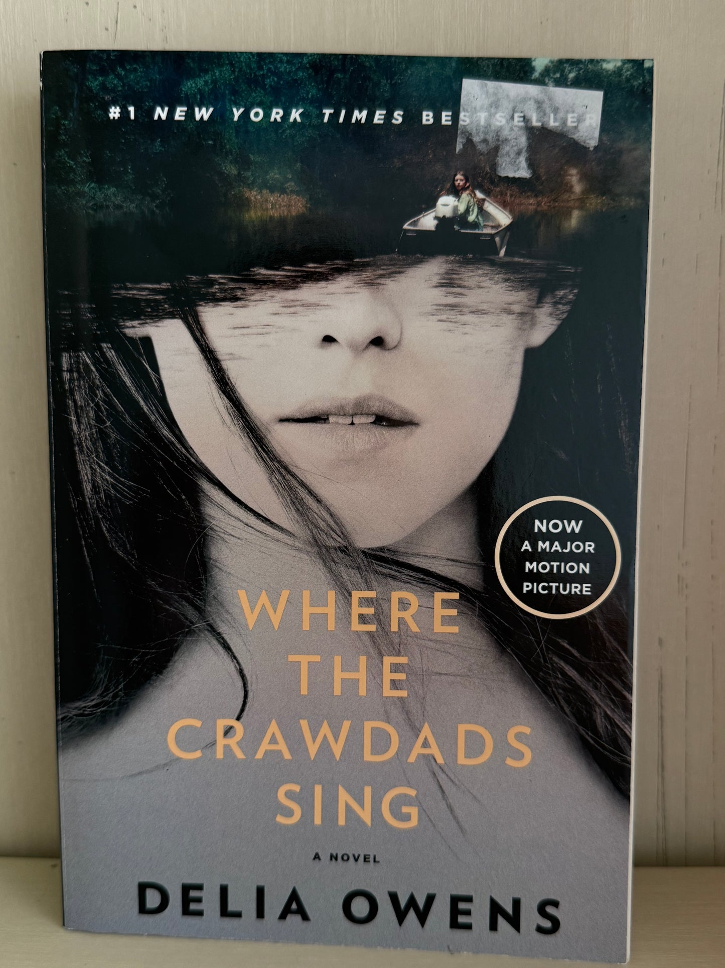The front cover of the novel 'Where the Crawdads Sing' by Delia Owens, featuring a grayscale portrait of a woman with dark hair and a small boat scene in the water above. The title is printed in large gold letters, with the author's name in black at the bottom.