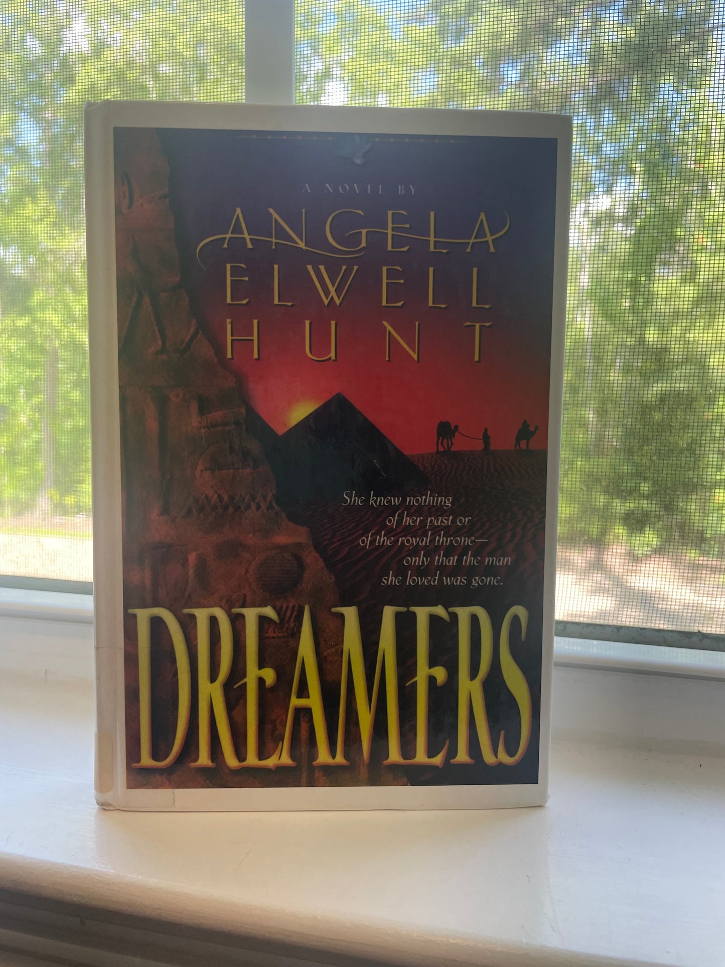 *USED* Dreamers by Elwell Hunt