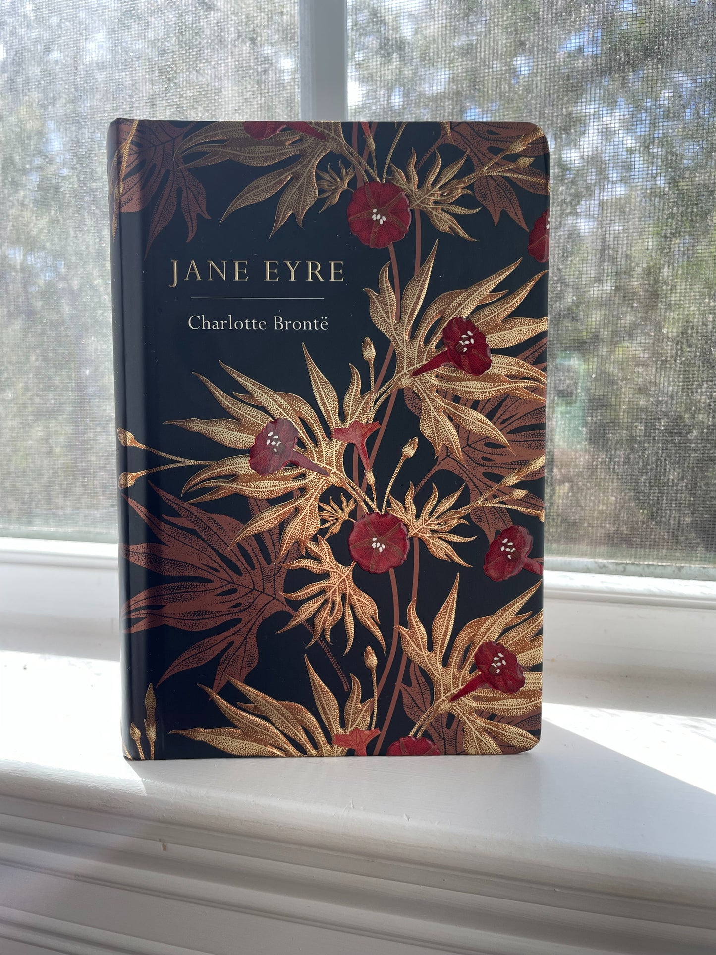 *NEW* Jane Eyre by Charlotte Bronte