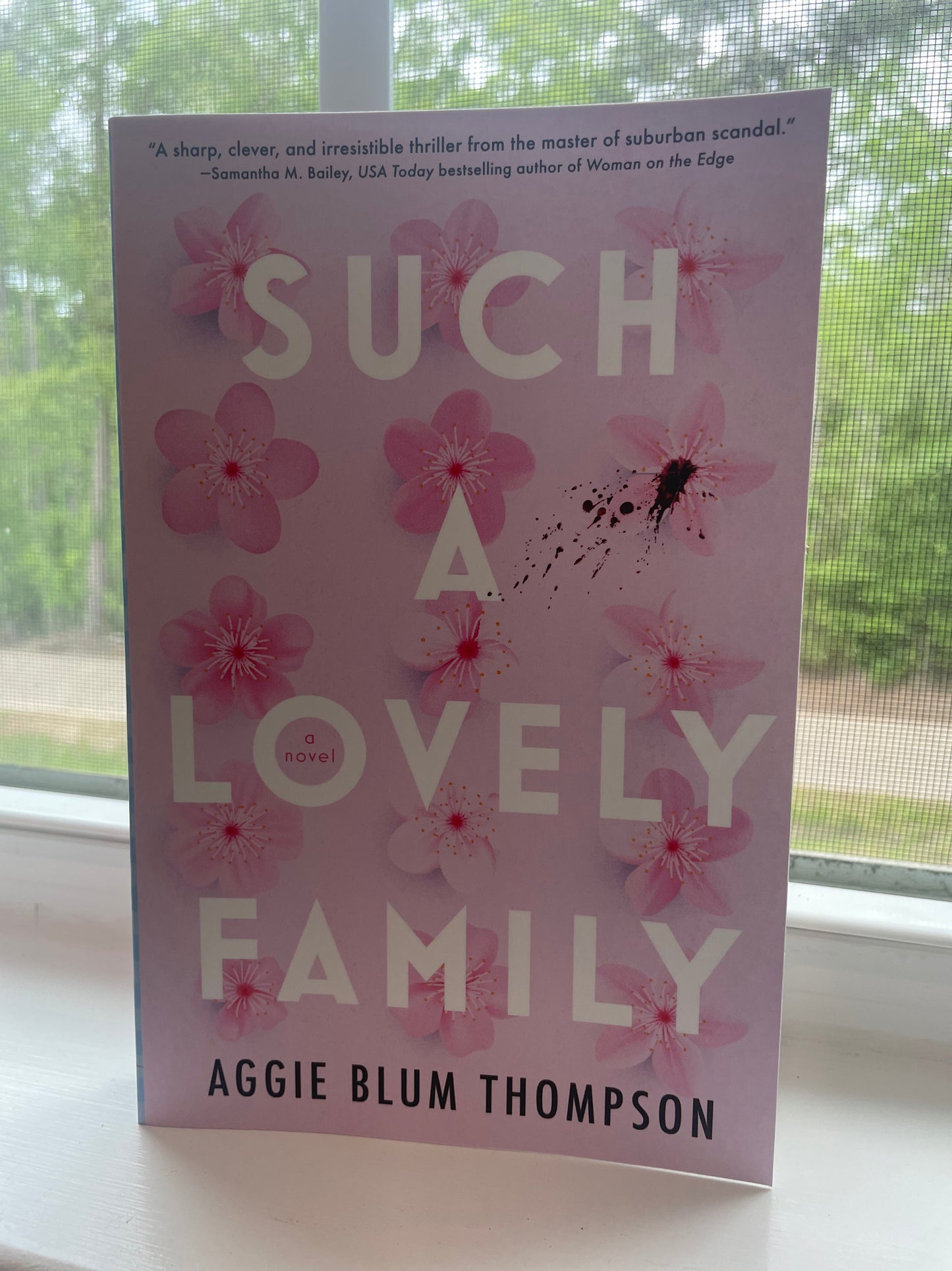 *NEW* Such a Lovely Family by Aggie Blum Thompson