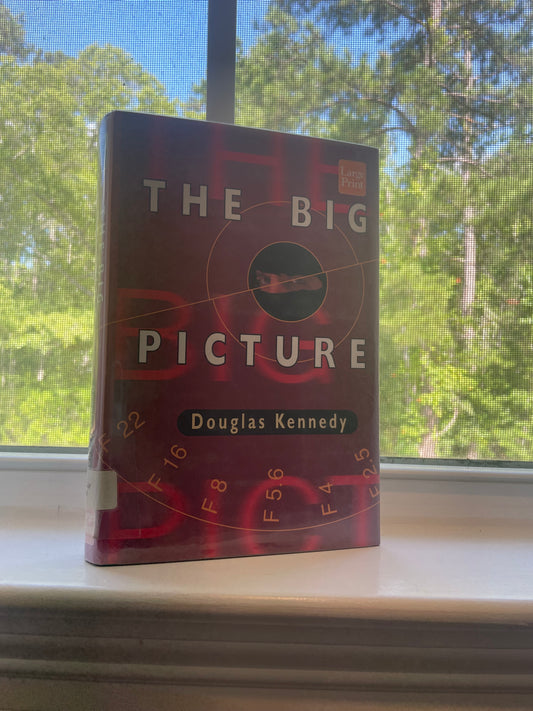 *USED* The Big Picture by Douglas Kennedy